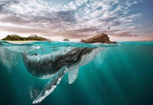 LIFE OF THE WORLD TO COME by MATEJ GRUŠOVNIK a personal inspiration blog